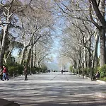 Royal Centro De