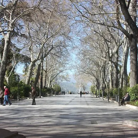 Royal Centro De